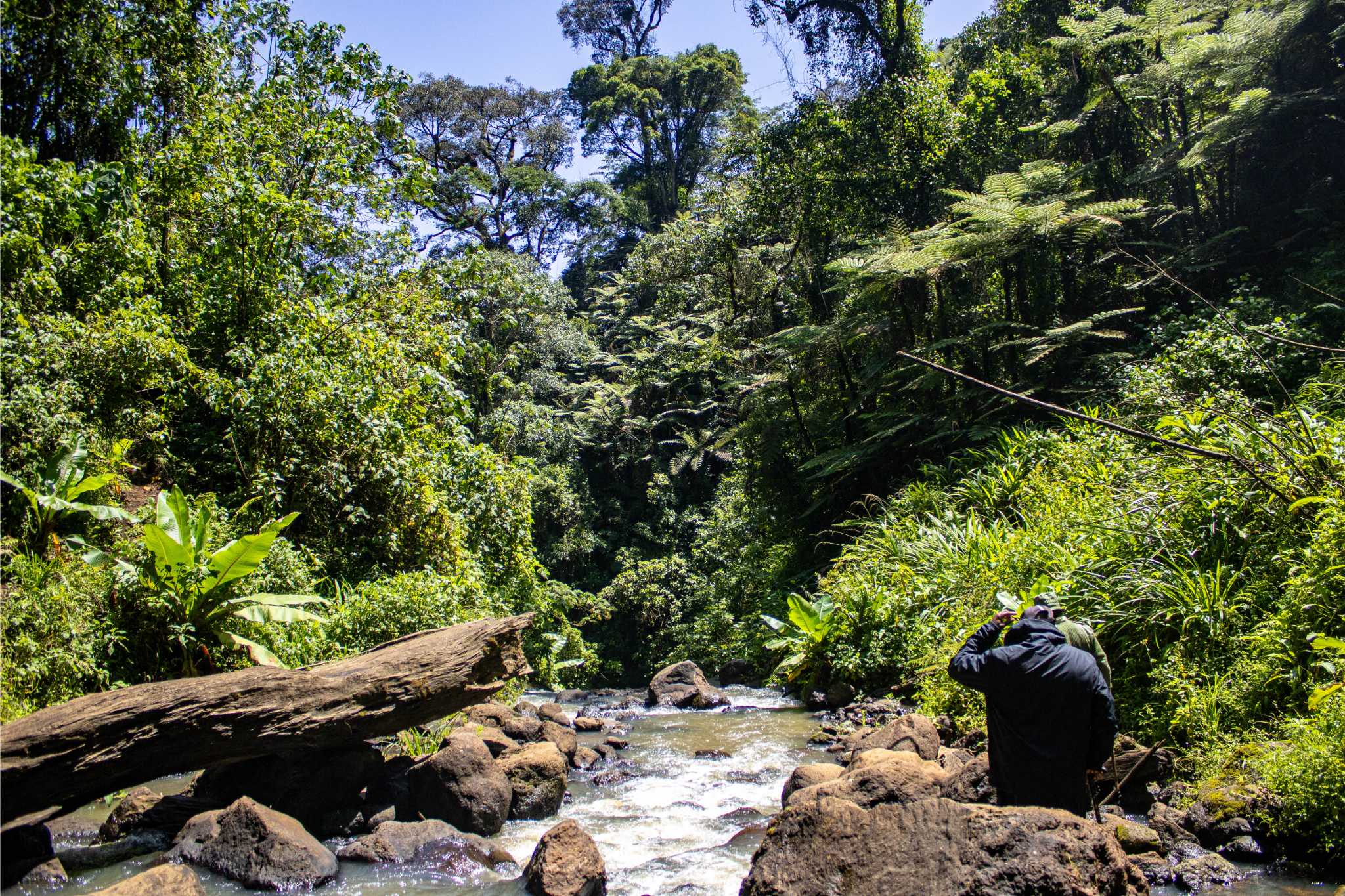 Nature & Hikes  
