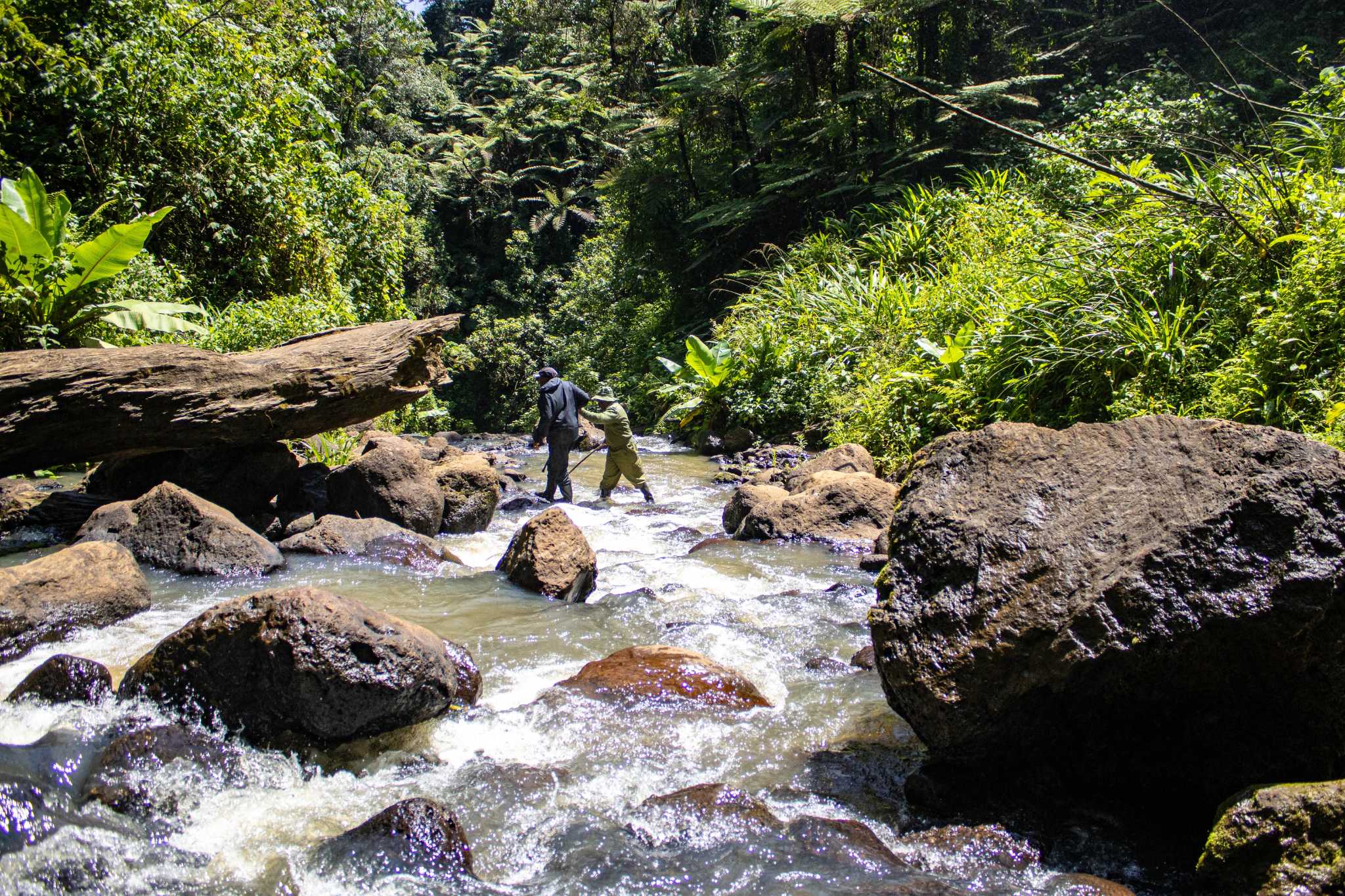 Adventures Await