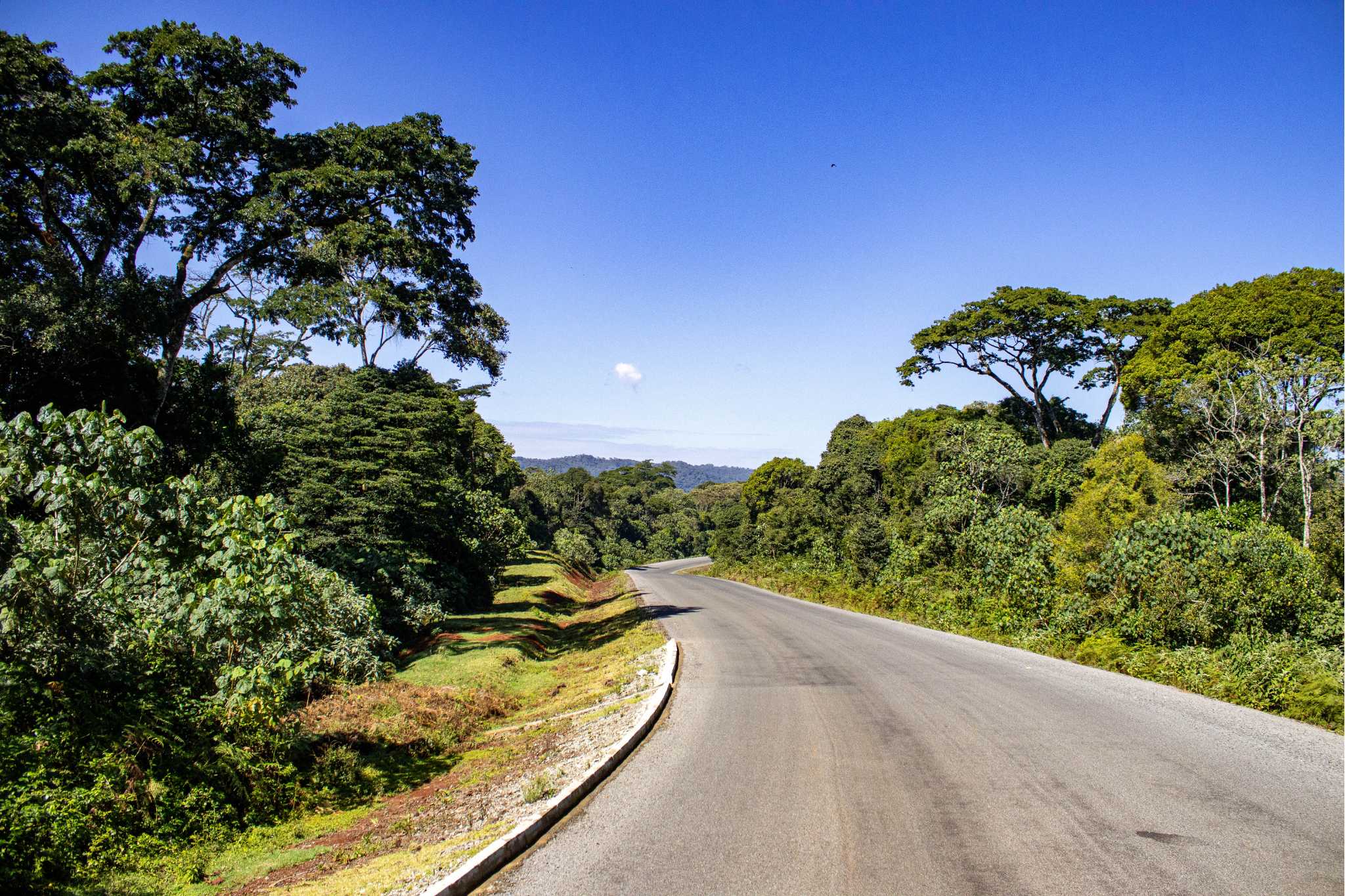 Gatanga’s Hidden Trails