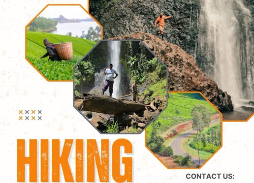 Hidden Gem: Eliper Hotel Day Trip in Murang’a Hills